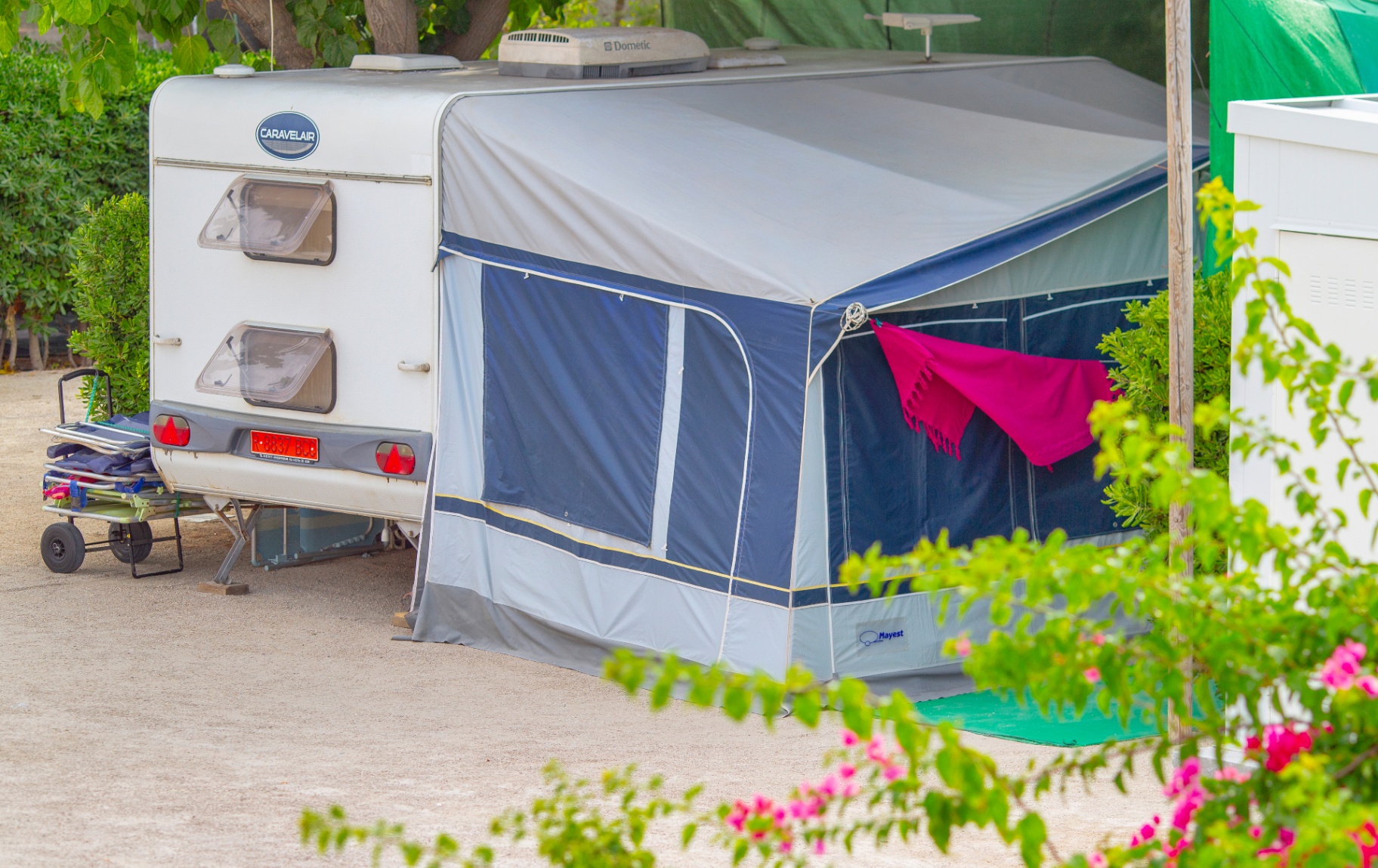 Camping Olé 6